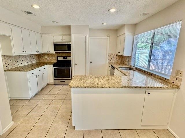 12001 Ladrido Ln - Photo 23