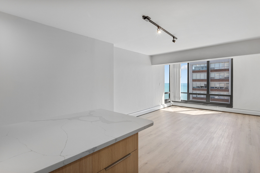 6166 N Sheridan Road - Photo 3