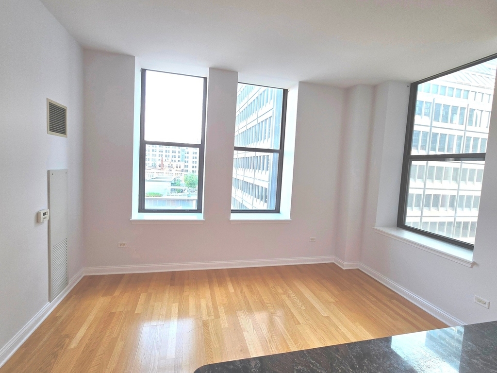 8 W Monroe Street - Photo 4