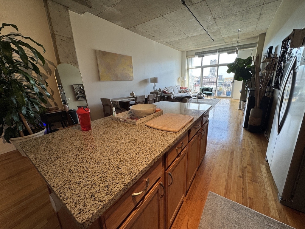 1000 W Adams Street - Photo 6