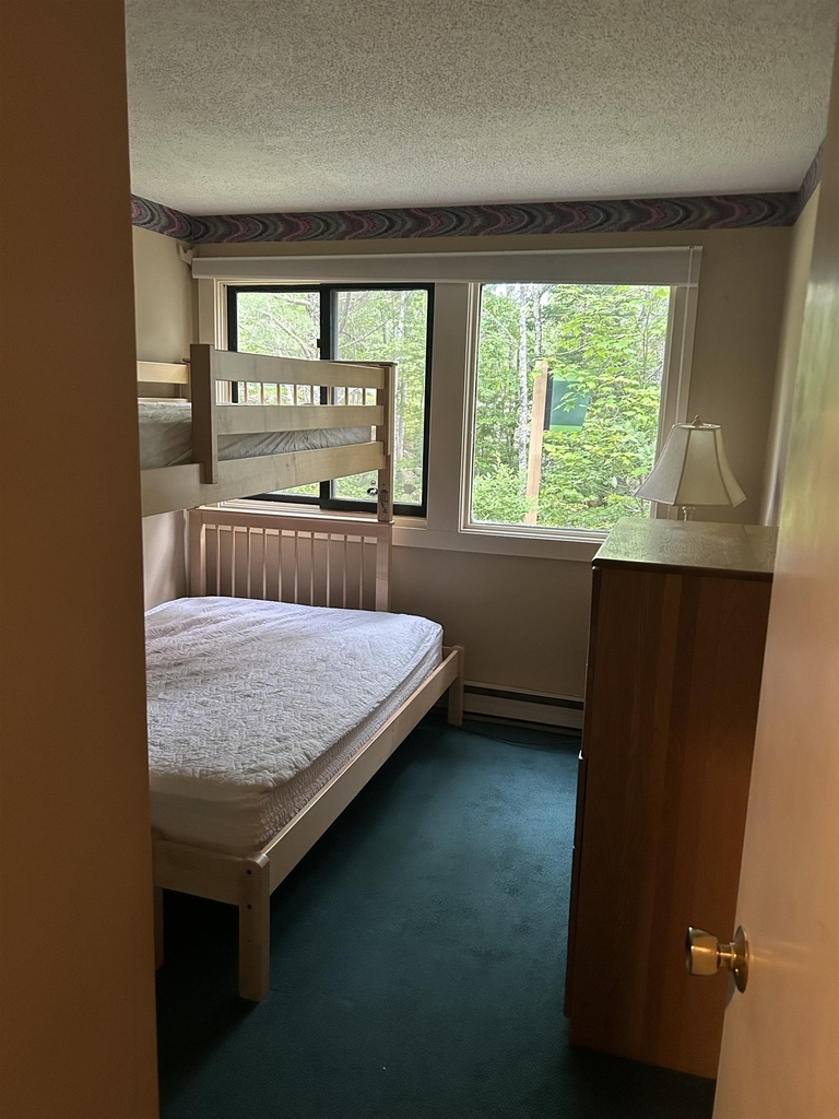 101 Snows Brook - Photo 11