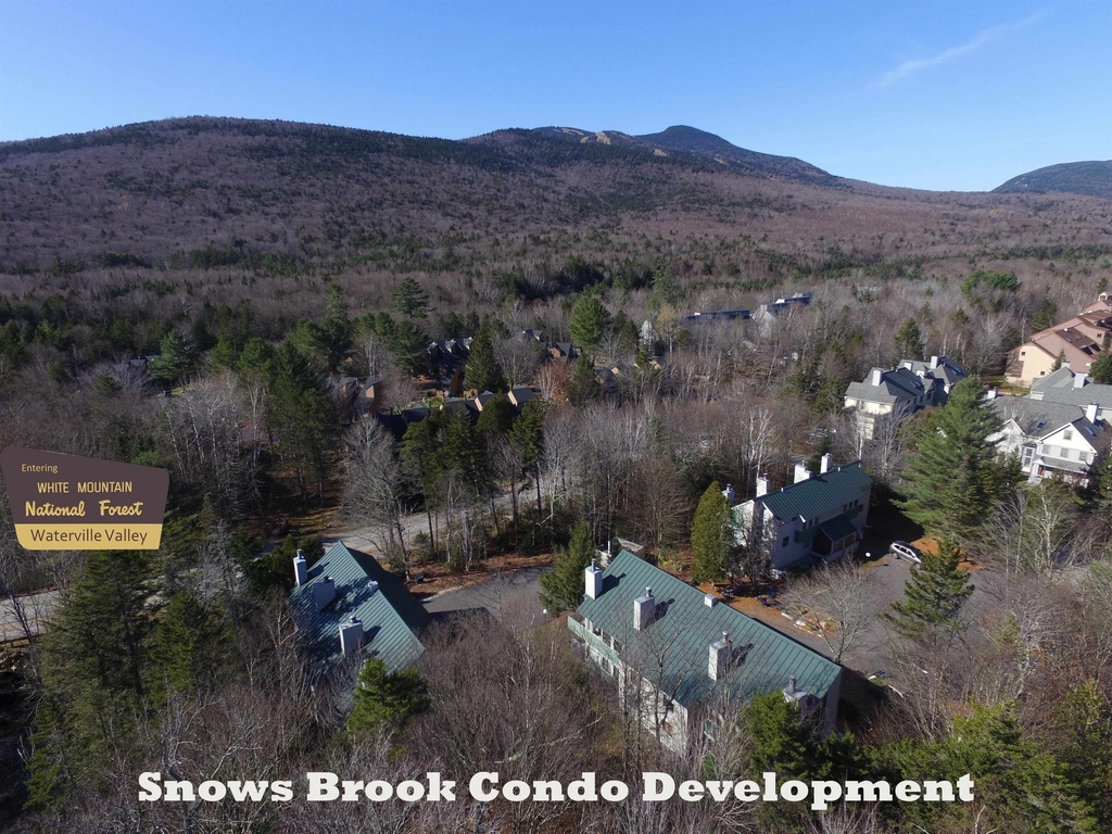 101 Snows Brook - Photo 15