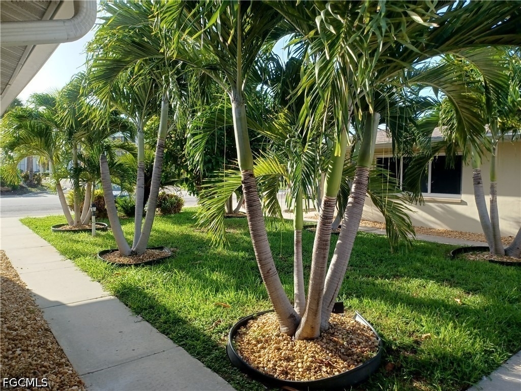 4808 Lucaya Drive - Photo 8