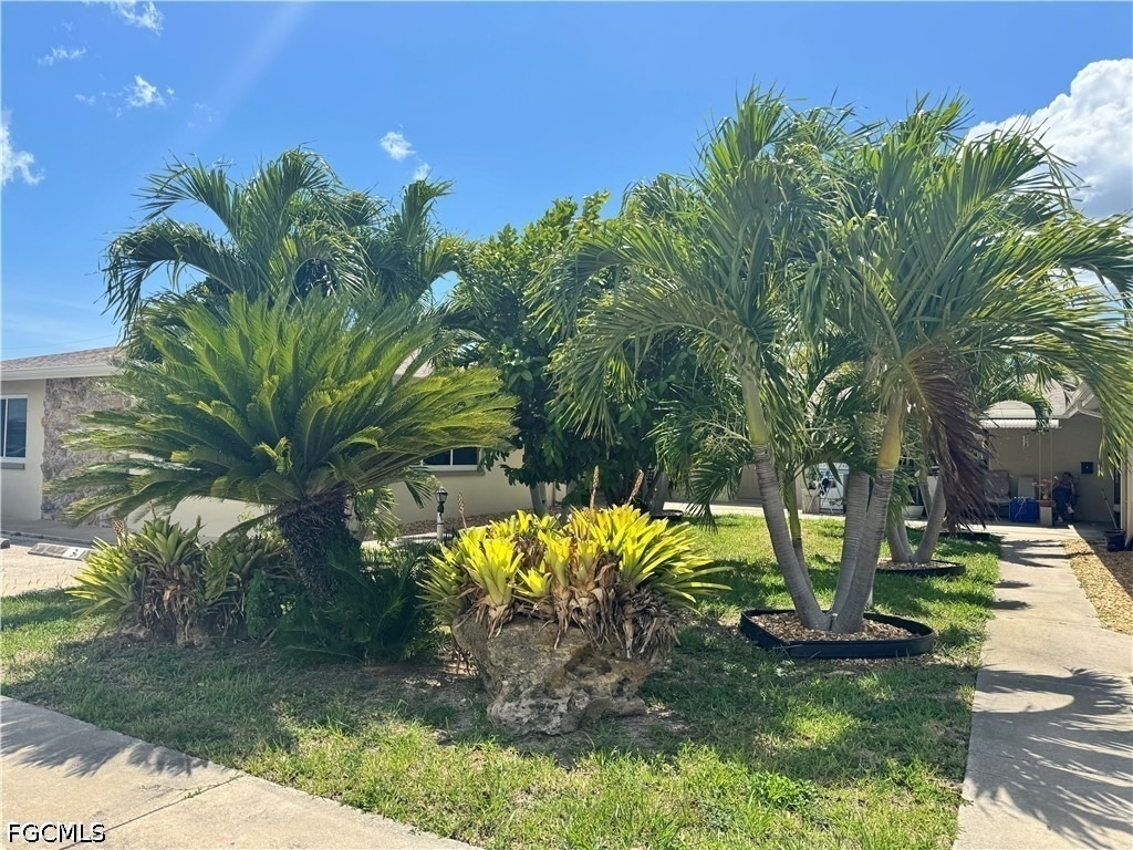 4808 Lucaya Drive - Photo 0