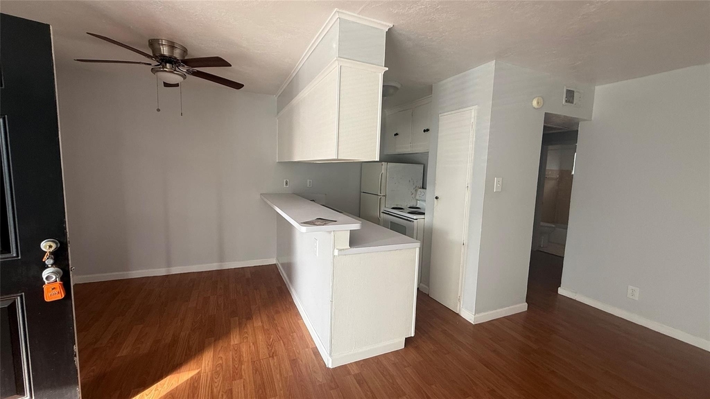 519 Branard St Street - Photo 2