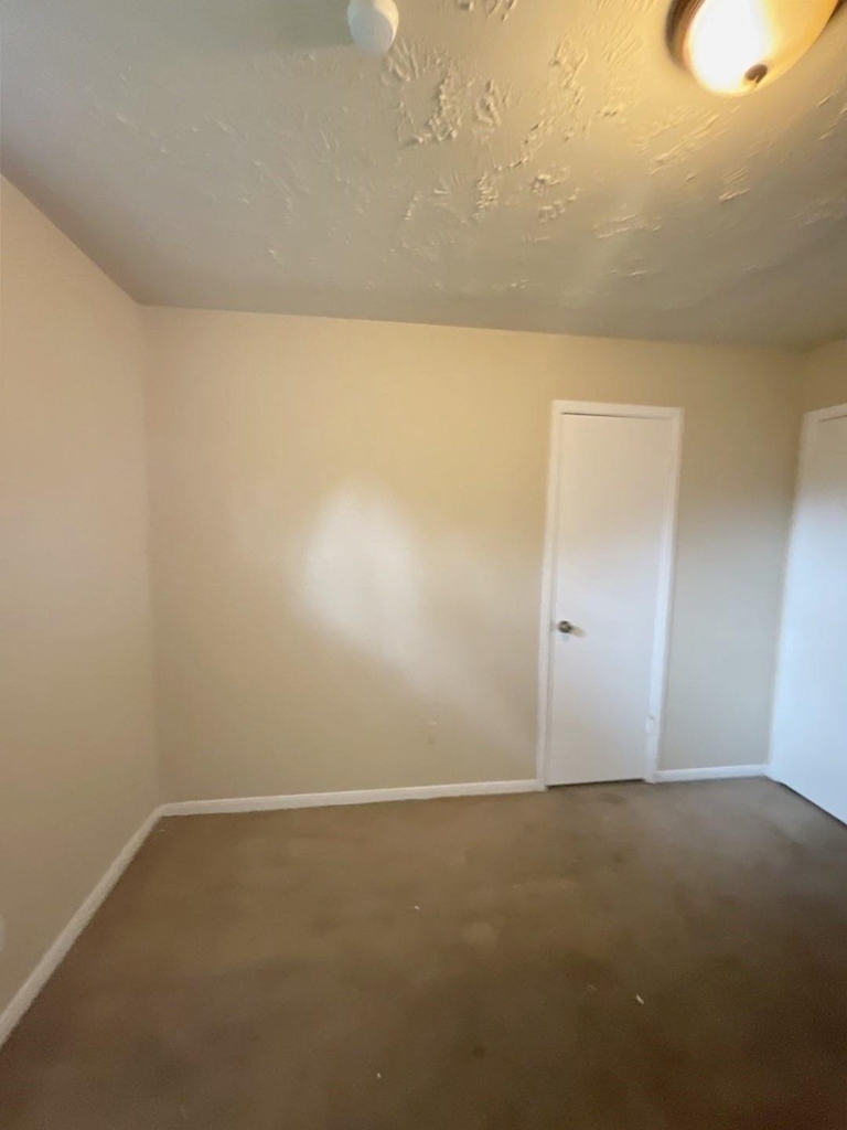 23907 Pea Ridge - Photo 15
