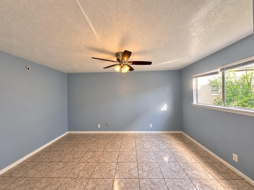 3906 Video Street - Photo 2