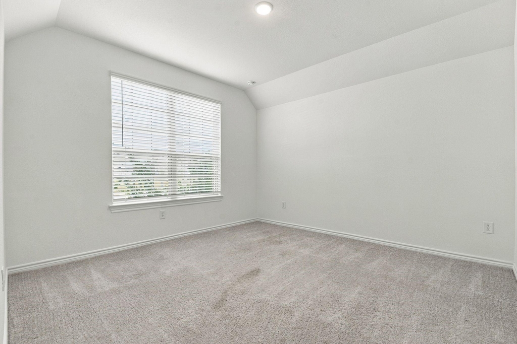 14534 Clementine Hall Drive - Photo 16