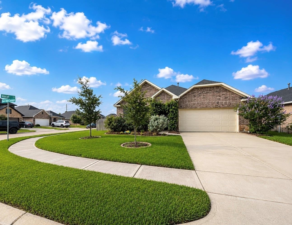 31307 Black Forest Crossing - Photo 28