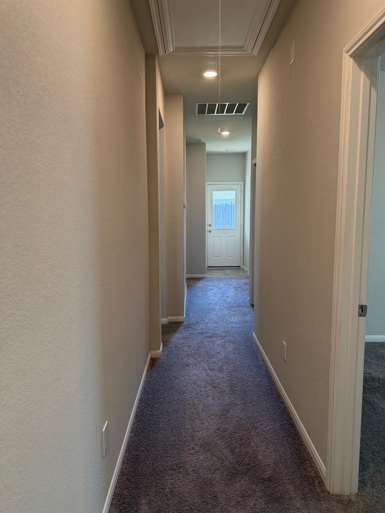 4210 Reese Ravine Lane - Photo 16