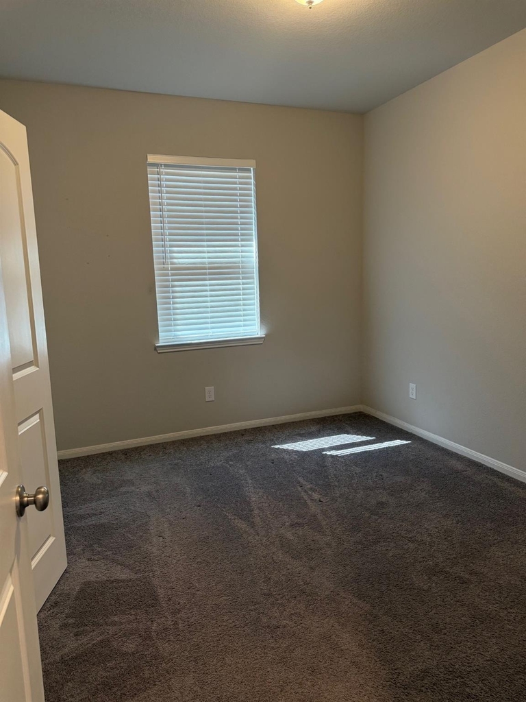 4210 Reese Ravine Lane - Photo 23