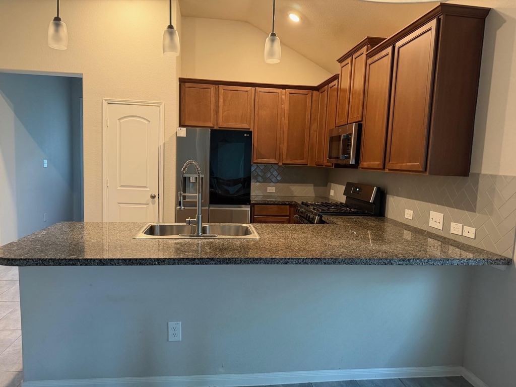 4210 Reese Ravine Lane - Photo 5