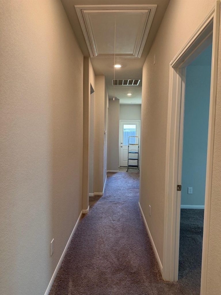4210 Reese Ravine Lane - Photo 15