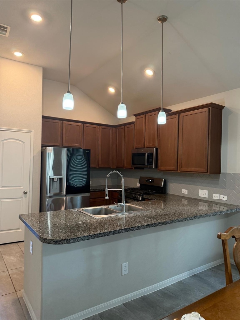 4210 Reese Ravine Lane - Photo 8