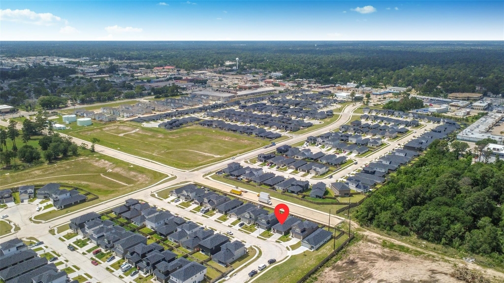 1010 Muscadine Vine Lane - Photo 4