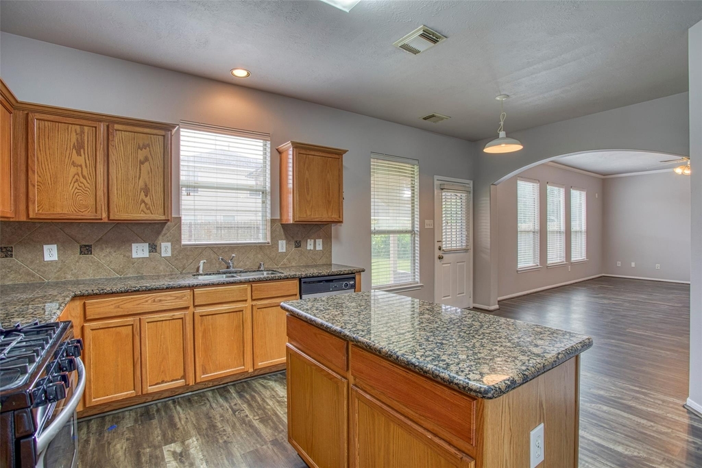 25127 Florina Ranch Drive - Photo 11