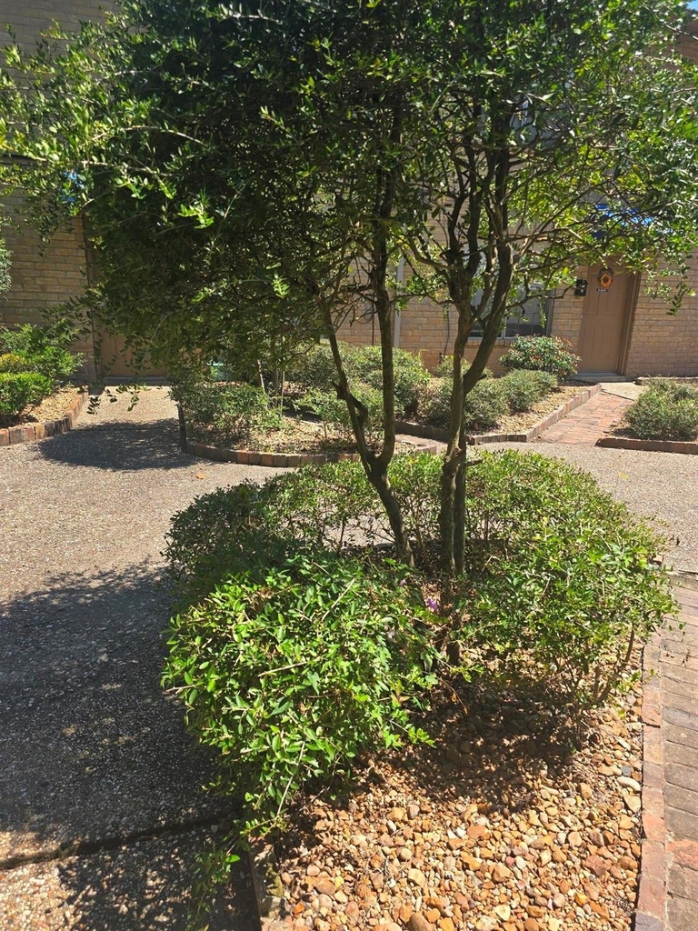 600 Hilliard Street - Photo 16