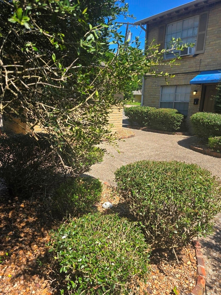 600 Hilliard Street - Photo 14