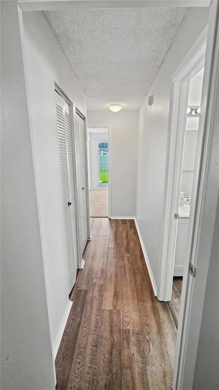 7419 Ivory Terrace - Photo 13