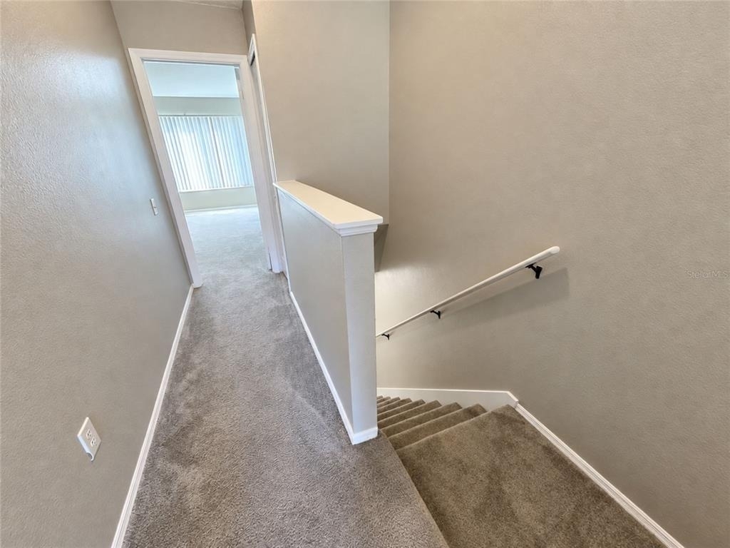 30021 Playa Del Rey Lane - Photo 5