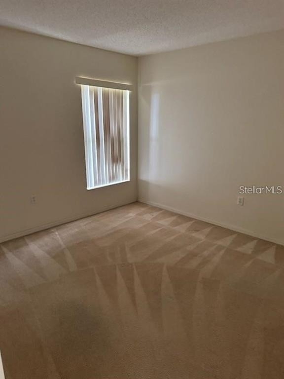 105 Windridge Street - Photo 6