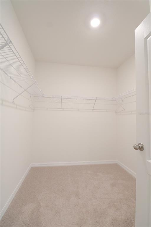 444 Taylor Groves Drive - Photo 13