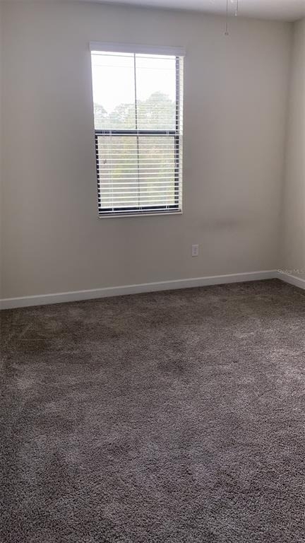 11216 Whistling Pine Way - Photo 13