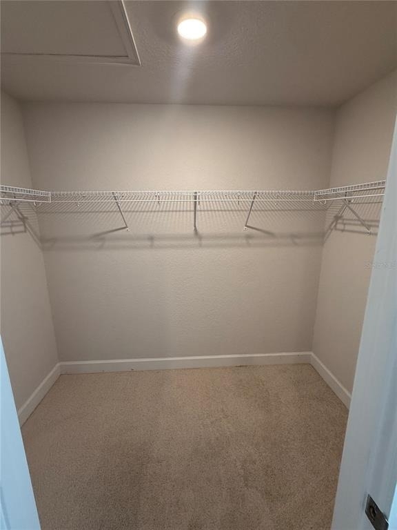 1734 Carnostie Road - Photo 6