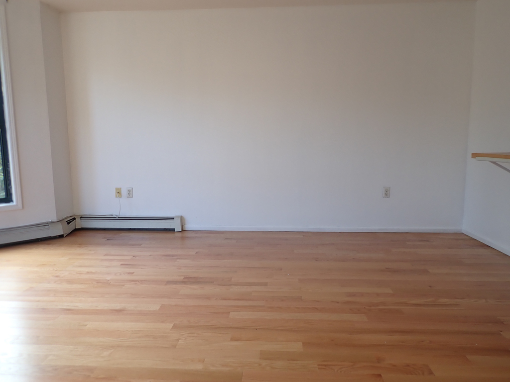 190 South Oxford Street - Photo 1