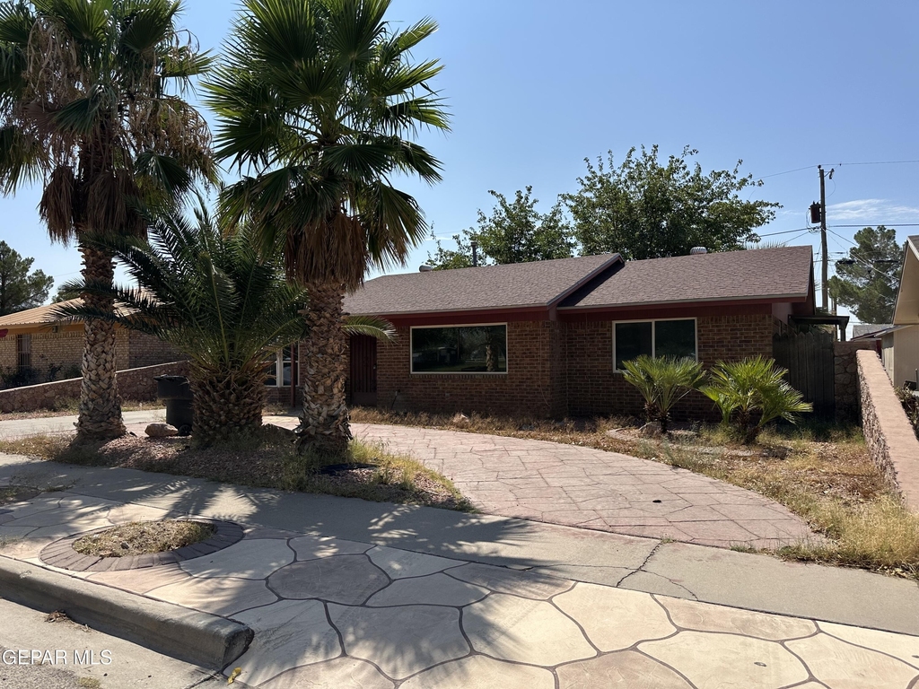 1209 Antonio Street - Photo 1