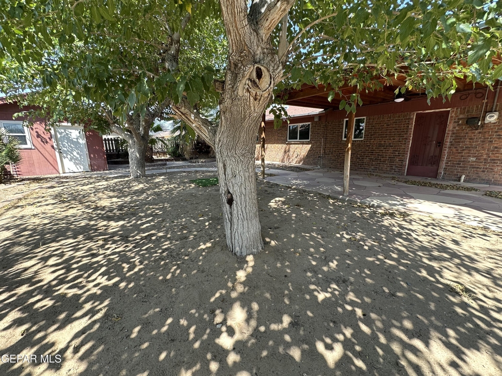 1209 Antonio Street - Photo 8