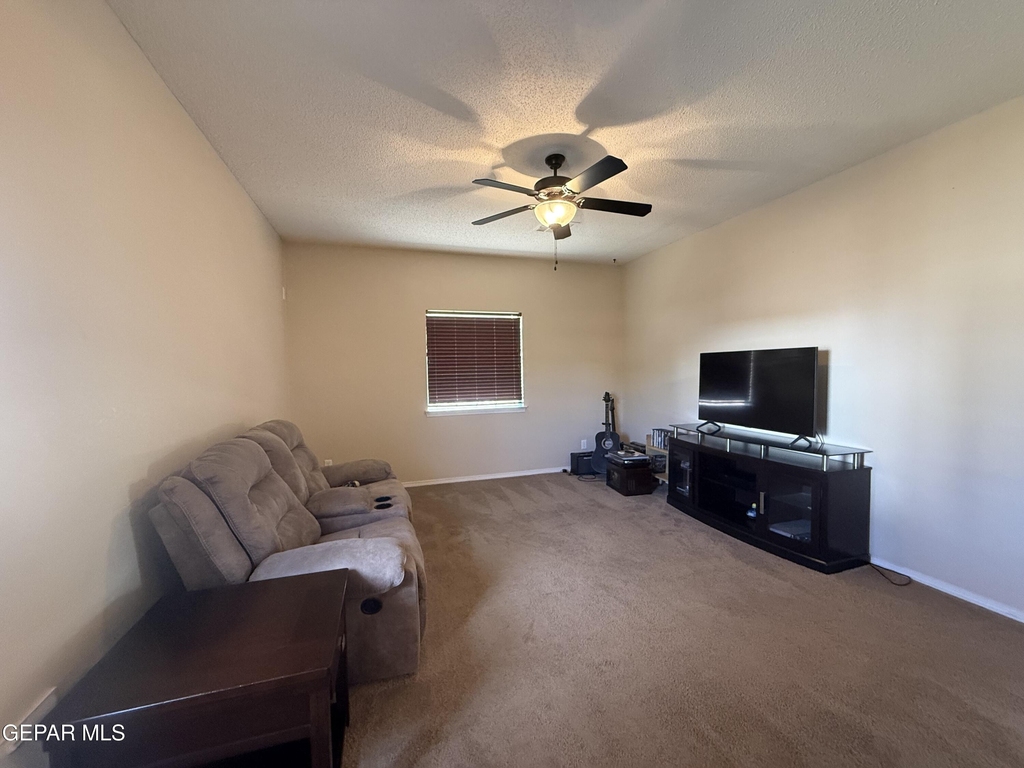 12869 Little Misty Lane - Photo 11