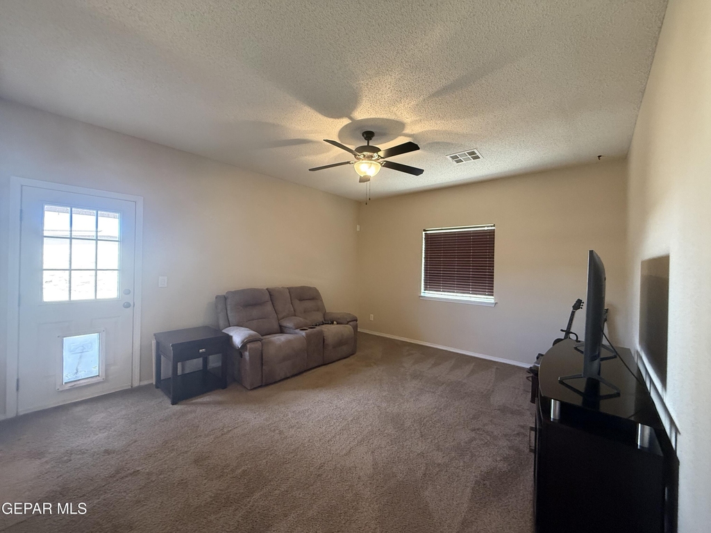 12869 Little Misty Lane - Photo 12