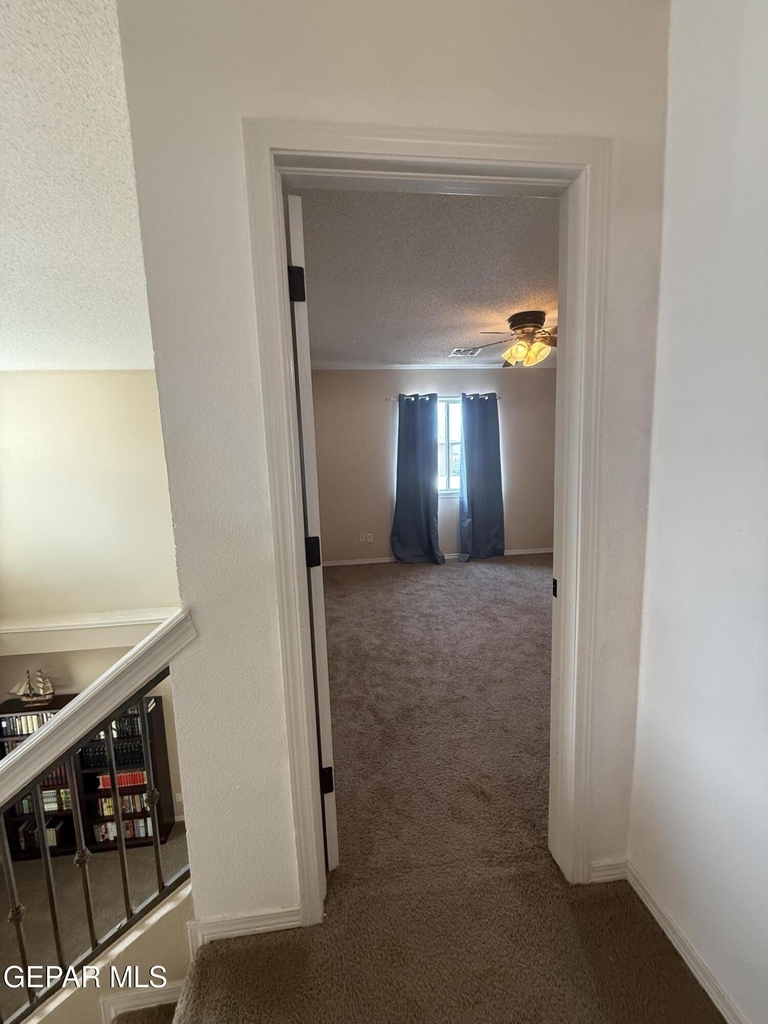 12869 Little Misty Lane - Photo 18