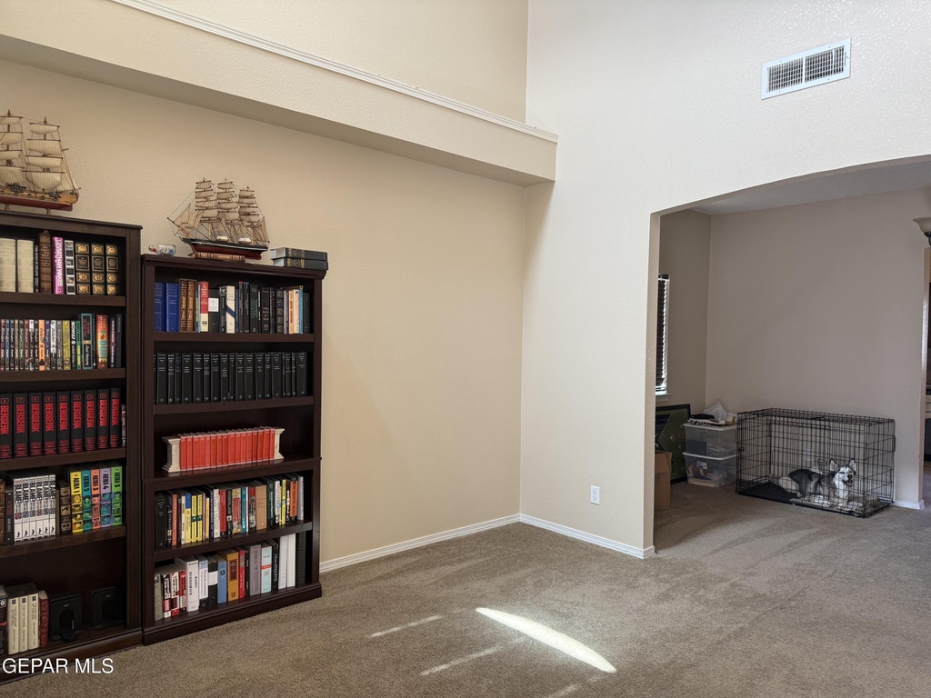 12869 Little Misty Lane - Photo 2