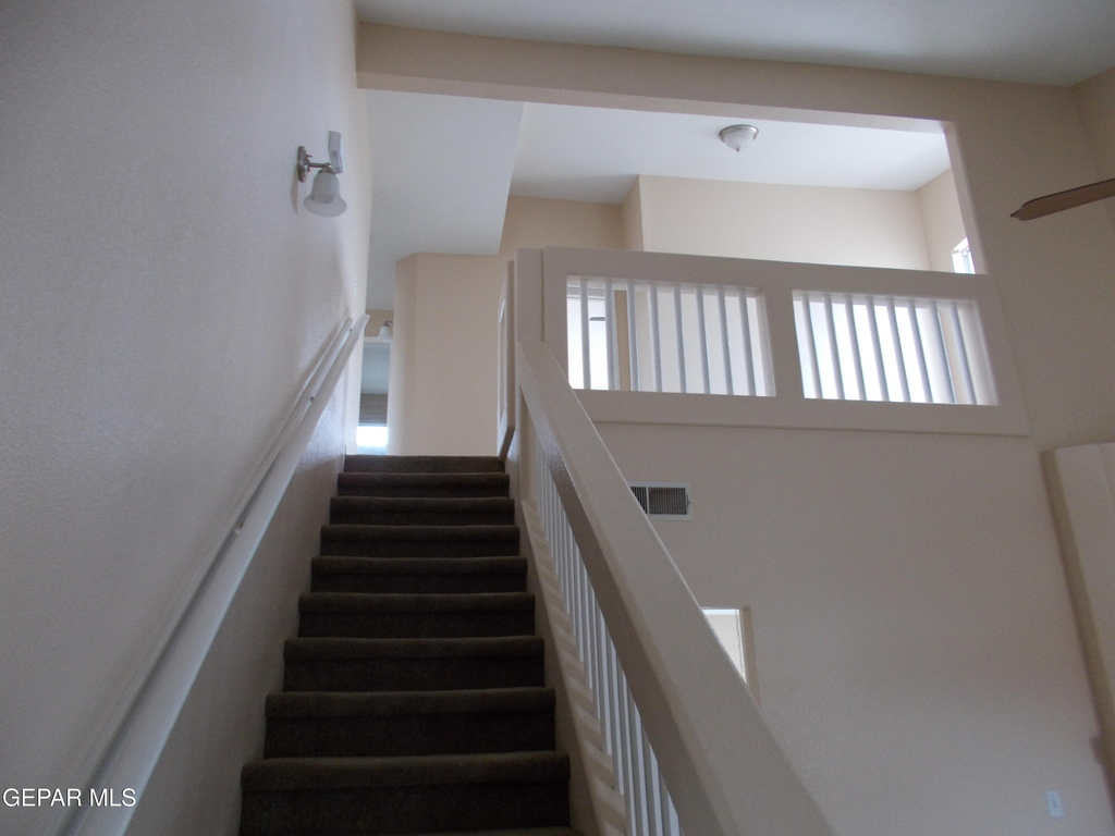 3641 Dominican Street - Photo 3