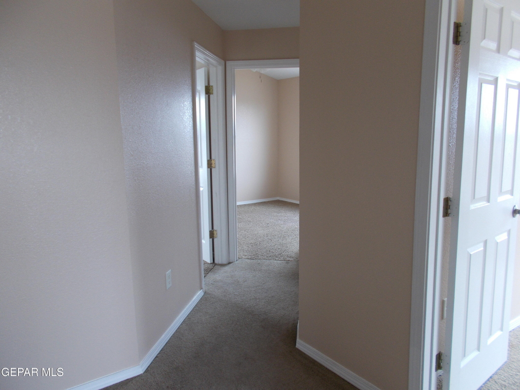 3641 Dominican Street - Photo 18