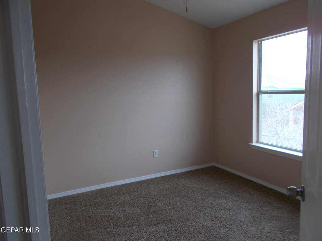 3641 Dominican Street - Photo 22