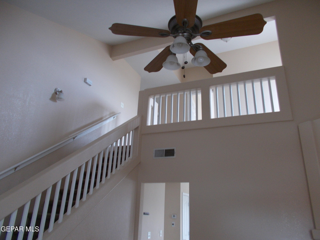 3641 Dominican Street - Photo 2