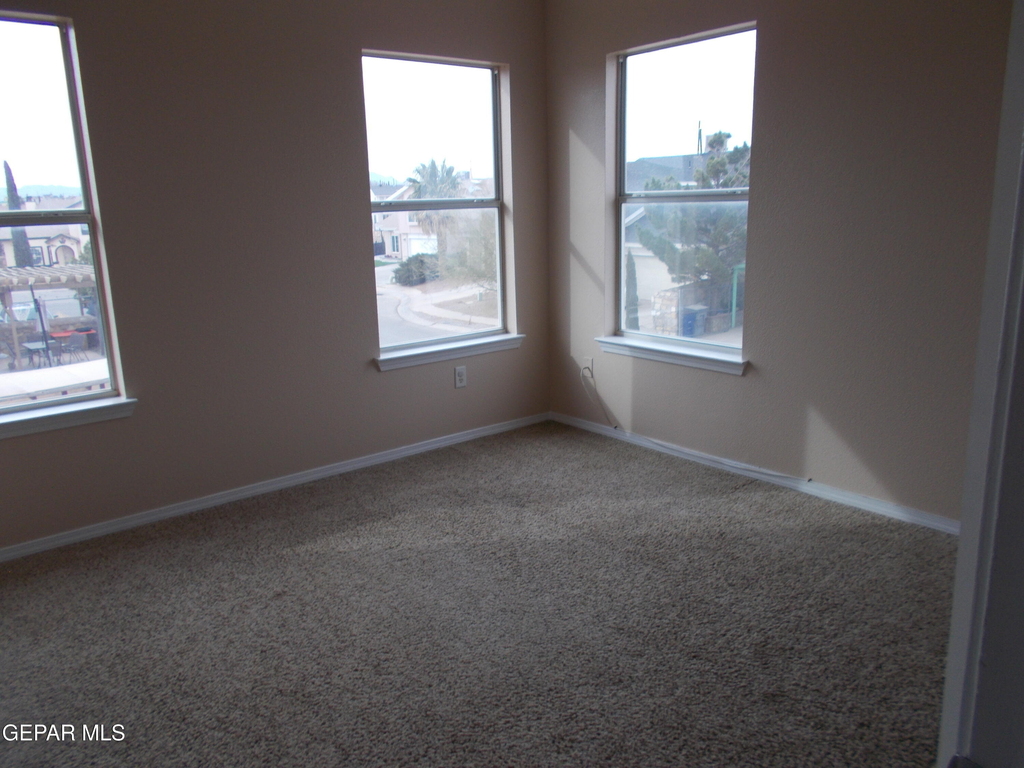 3641 Dominican Street - Photo 20