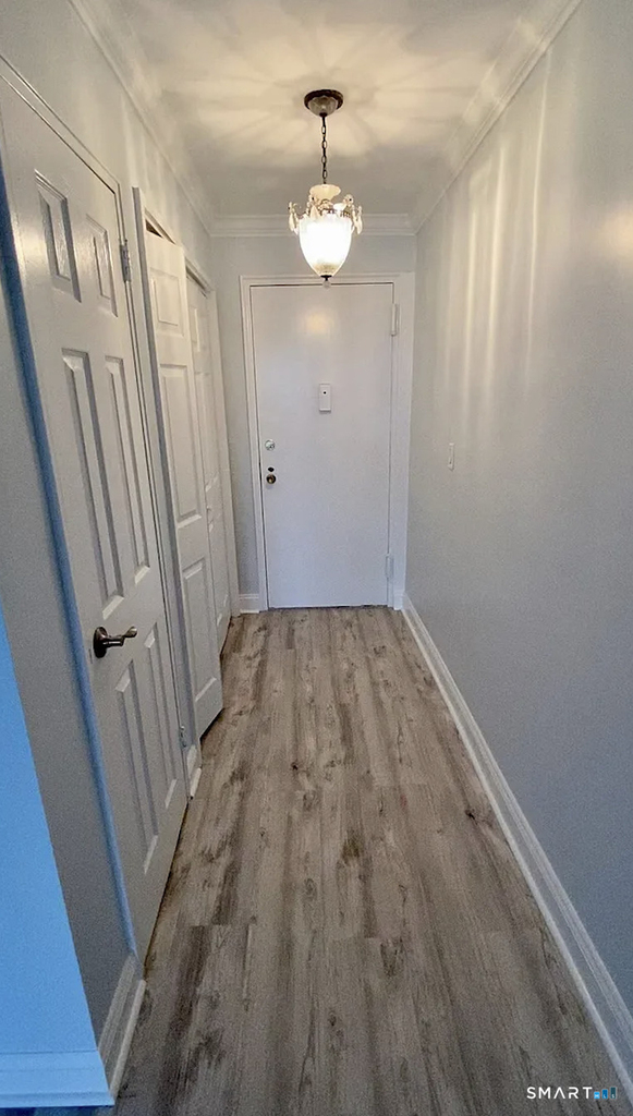 45 Maple Street - Photo 1