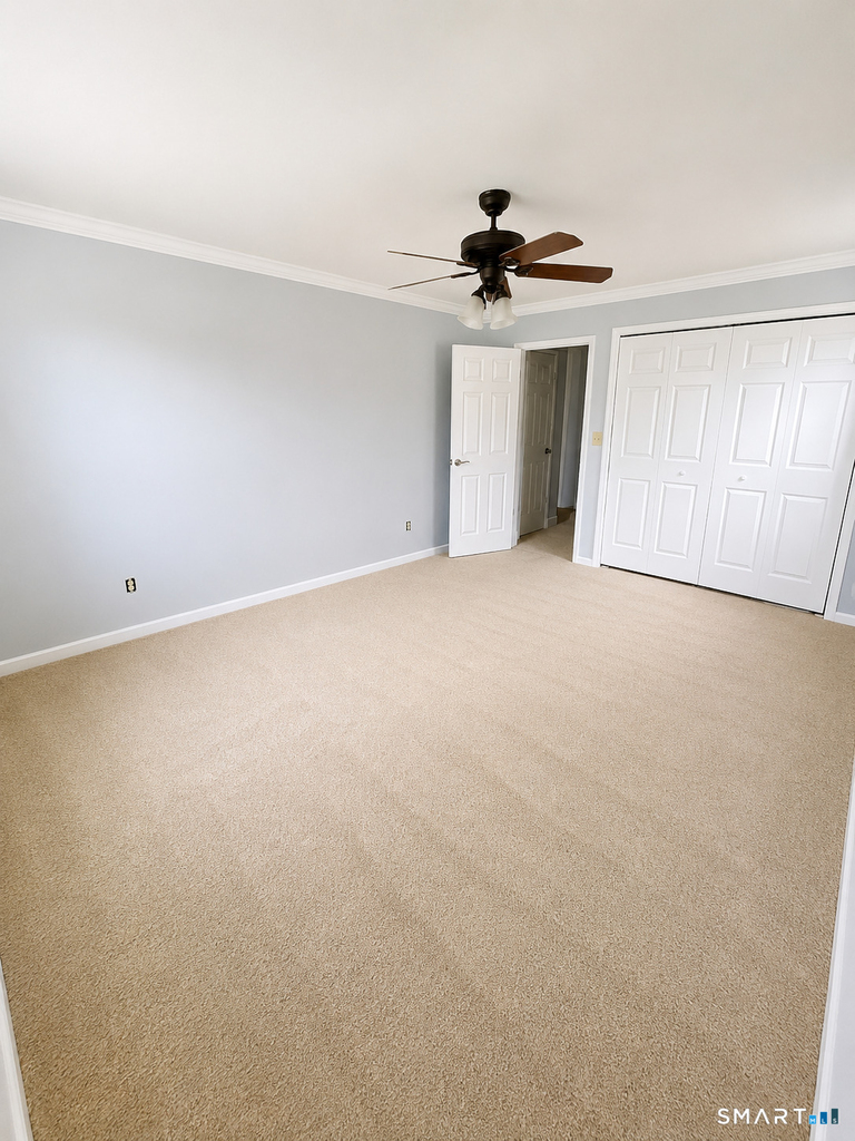45 Maple Street - Photo 6