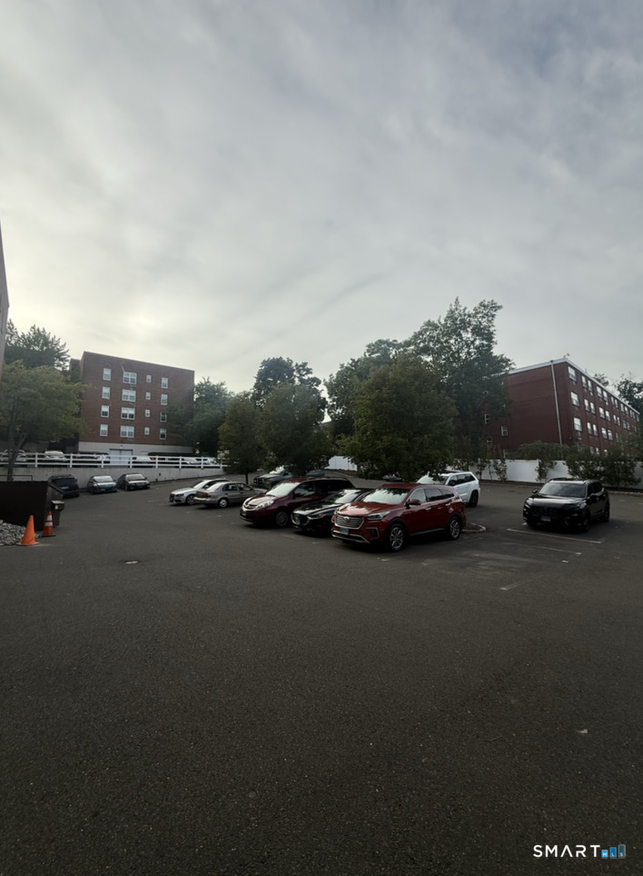 45 Maple Street - Photo 10