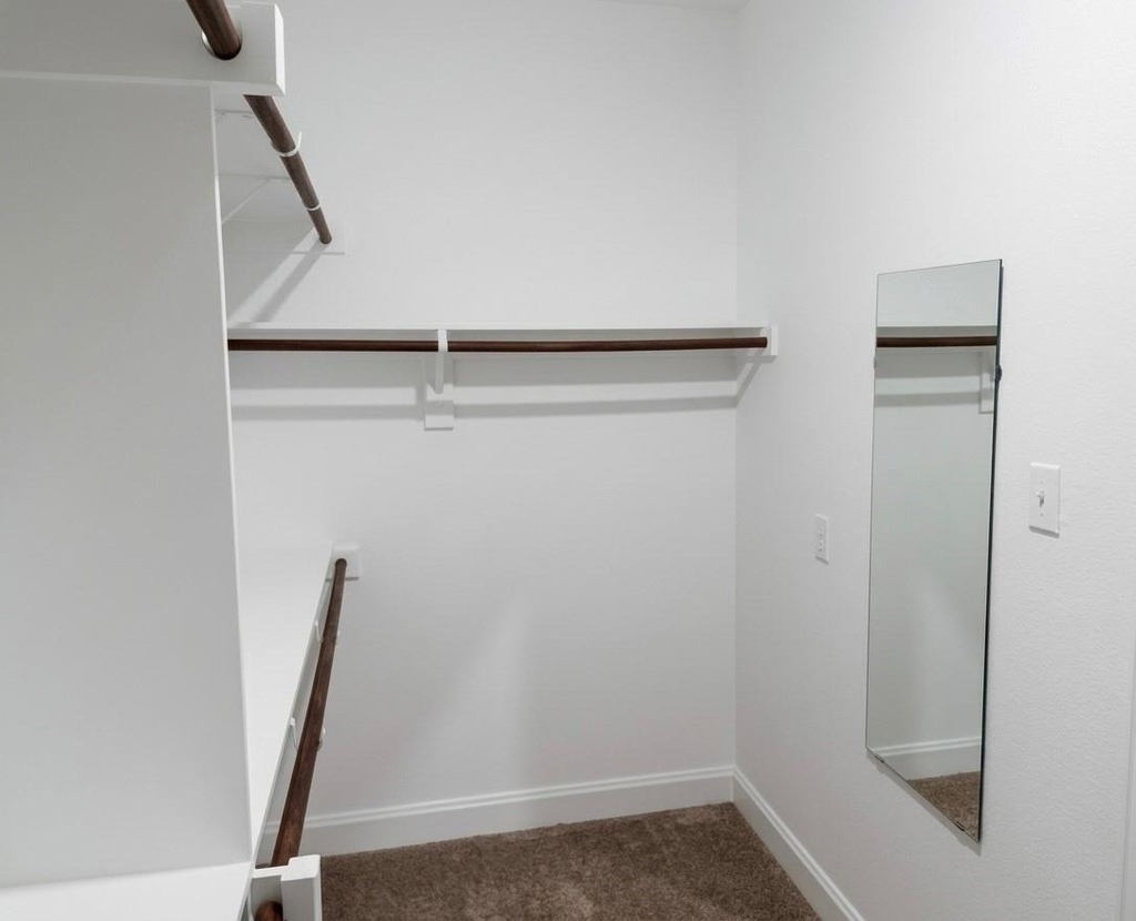 11109 Gold Pan Trail - Photo 10