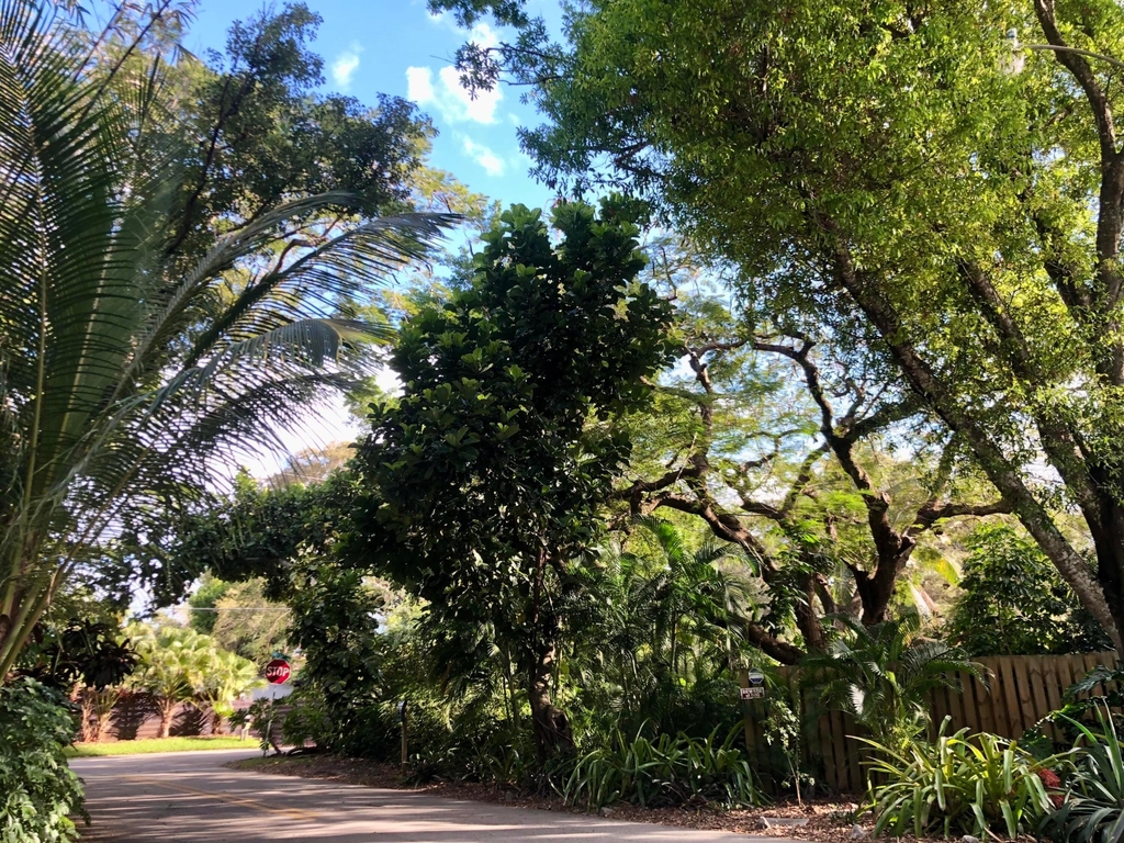 733 Sw 13th Avenue - Photo 4