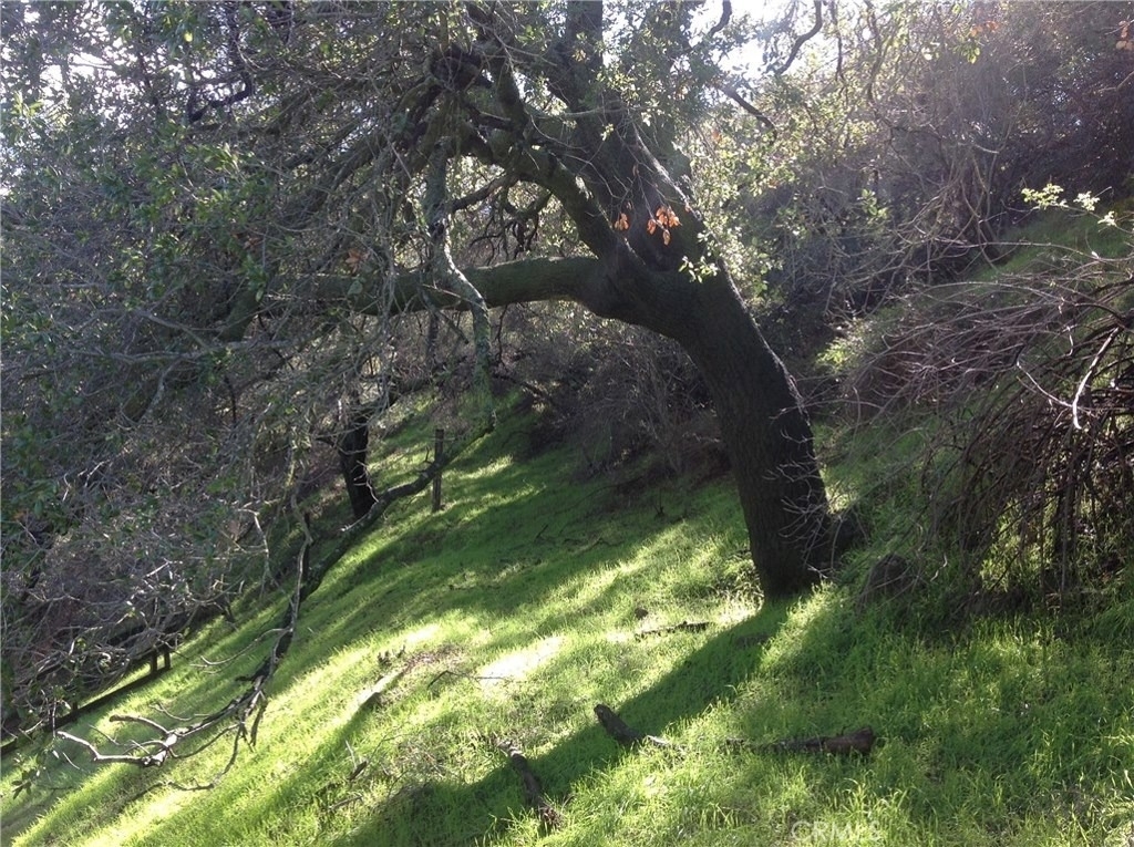 24735 Mulholland Highway - Photo 28