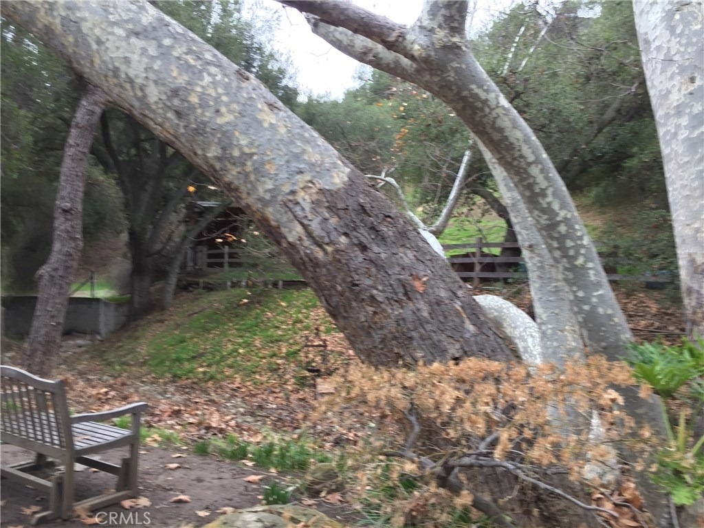 24735 Mulholland Highway - Photo 11