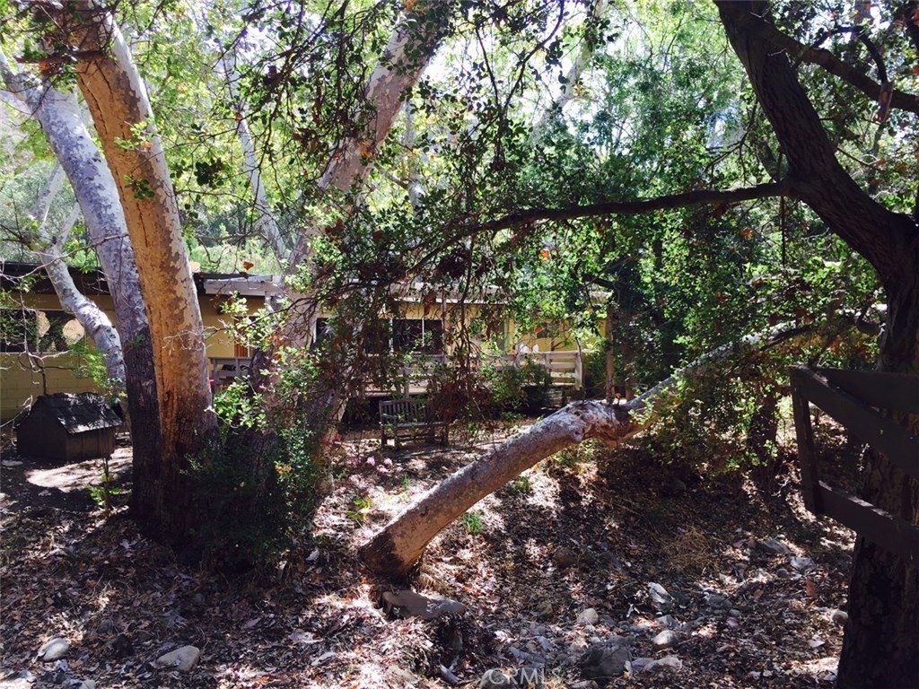 24735 Mulholland Highway - Photo 13