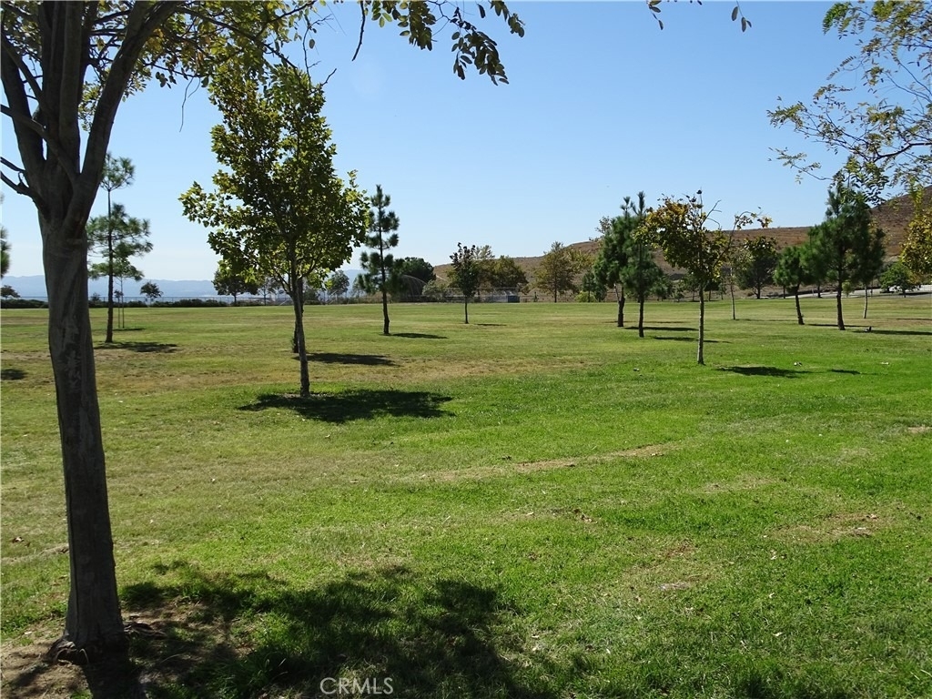 11779 Coorsgold Lane - Photo 21