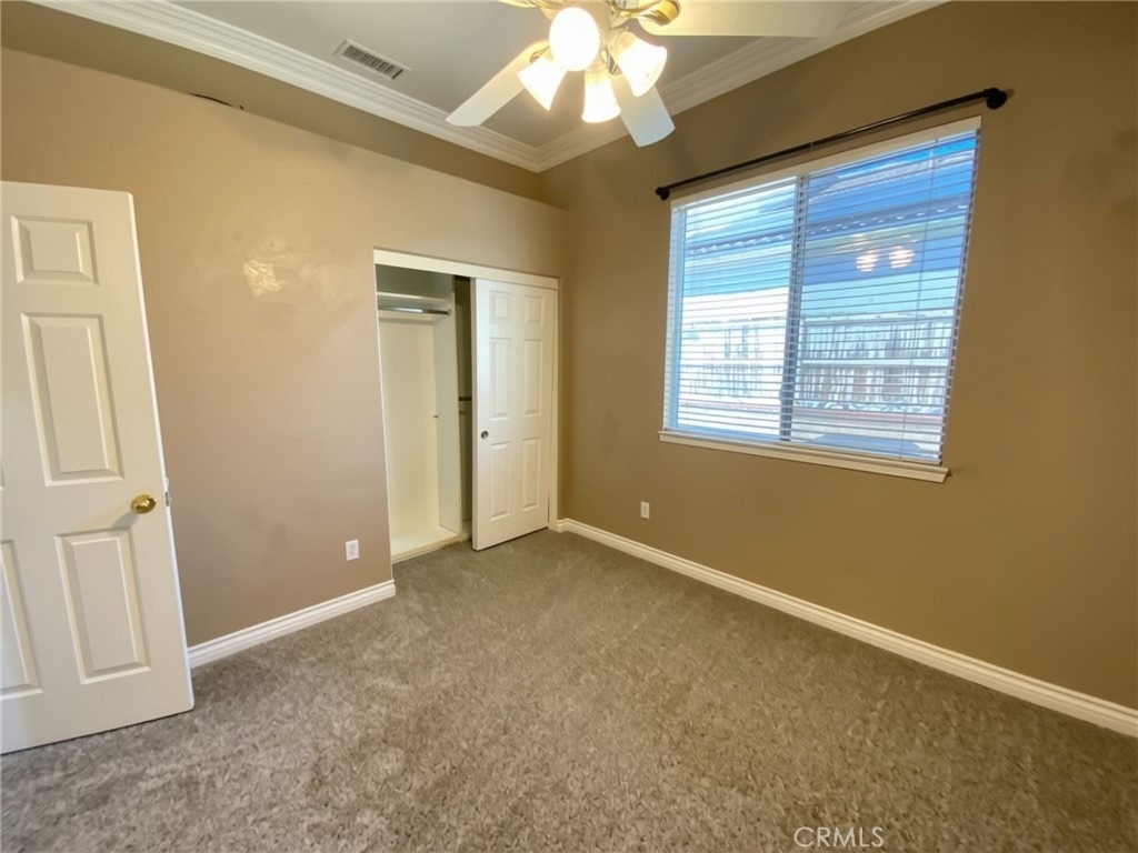 810 Clear Springs Drive - Photo 15